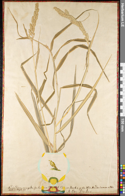 LE 01092069