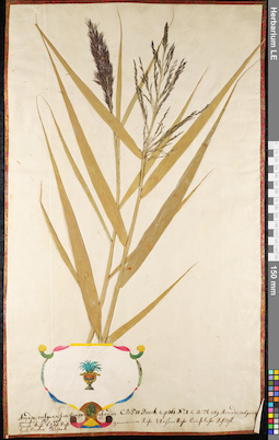 LE 01092070