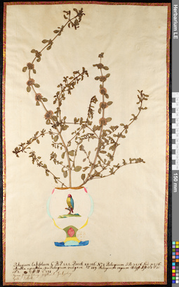 LE 01092077