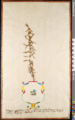 LE 01092078