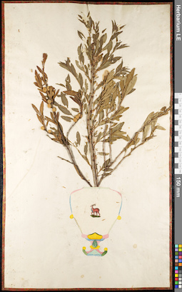LE 01092082