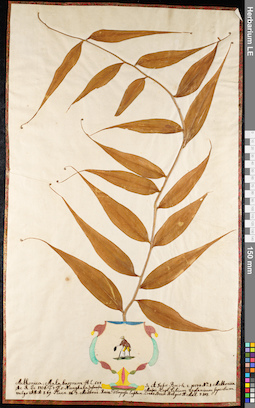 LE 01092110