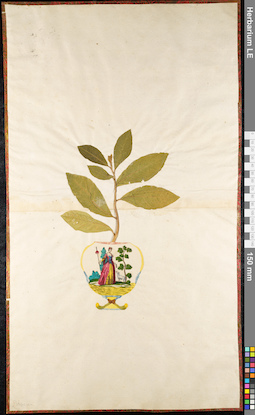 LE 01092122