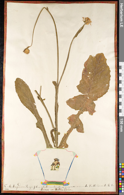 LE 01092127