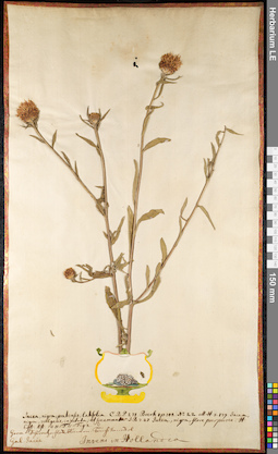 LE 01092128