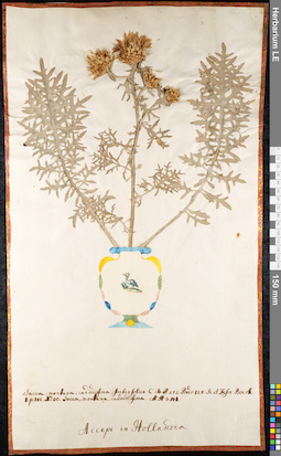 LE 01092129