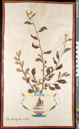 LE 01092146