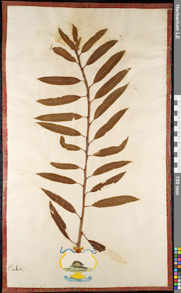 LE 01092148