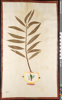 LE 01092149