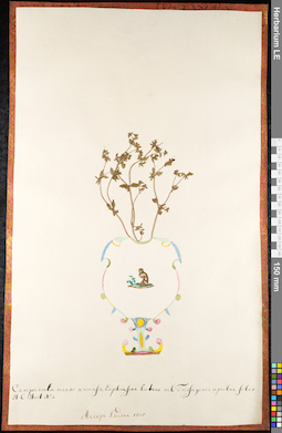 LE 01092155