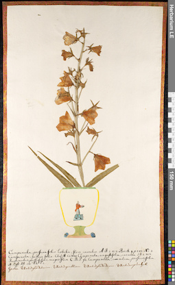 LE 01092158