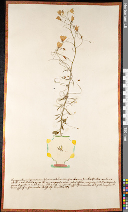 LE 01092160