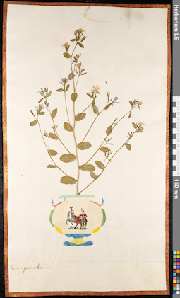 LE 01092161
