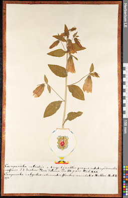 LE 01092166