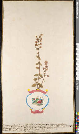 LE 01092174