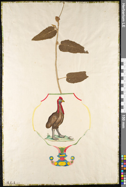 LE 01092177