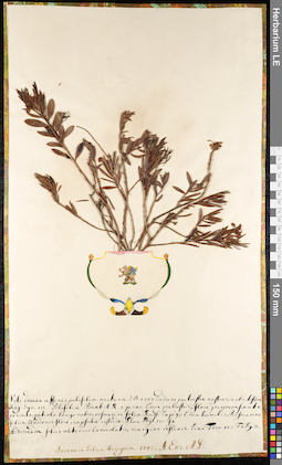 LE 01092179