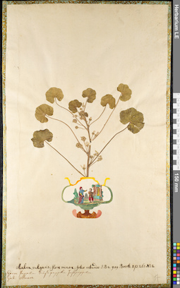 LE 01092182