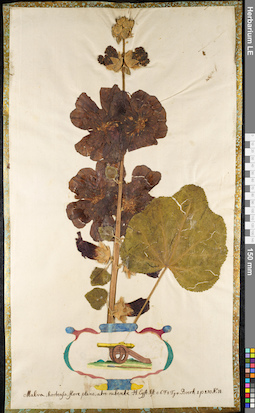 LE 01092185