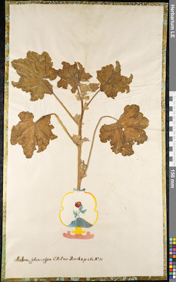 LE 01092186