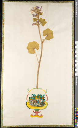 LE 01092187