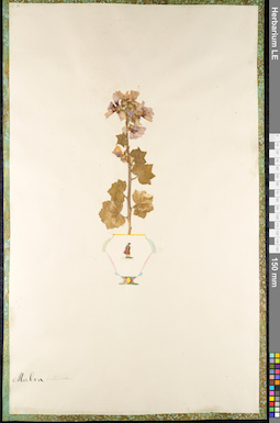 LE 01092188