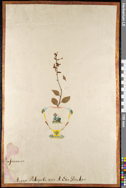LE 01092190