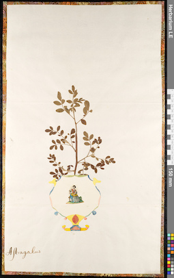 LE 01092193