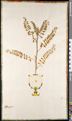 LE 01092195