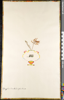 LE 01092196