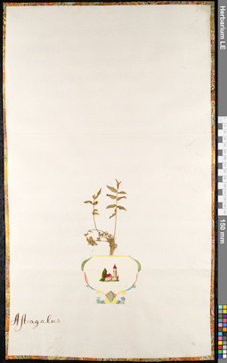 LE 01092197