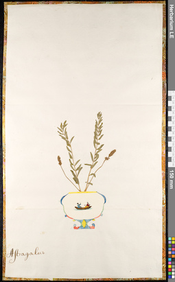 LE 01092198