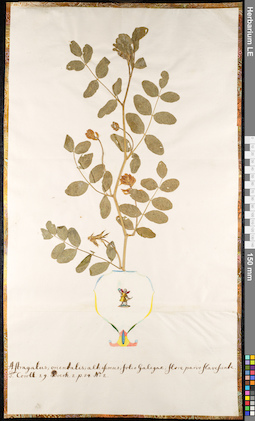 LE 01092201