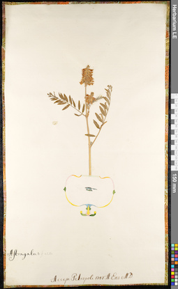 LE 01092207
