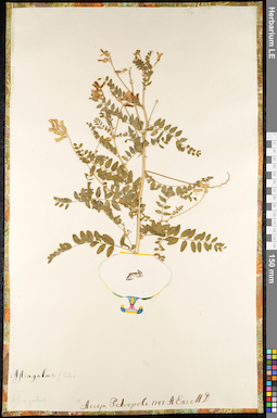LE 01092208