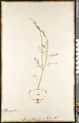 LE 01092210