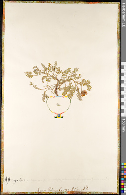 LE 01092213
