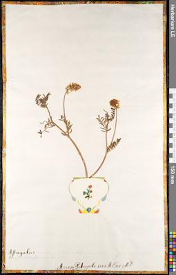 LE 01092215