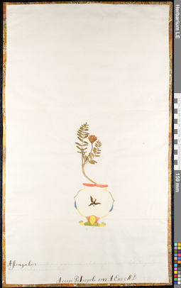 LE 01092216