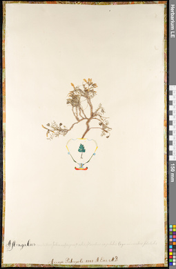 LE 01092218