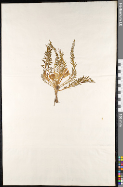 LE 01092219