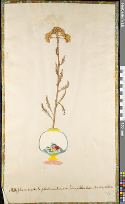 LE 01092221