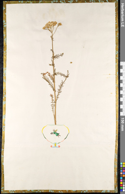 LE 01092223