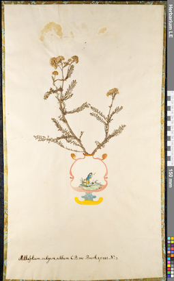 LE 01092224
