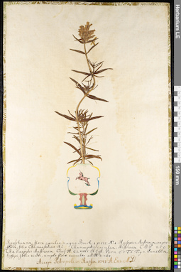 LE 01092234