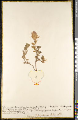 LE 01092236