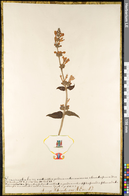 LE 01092237