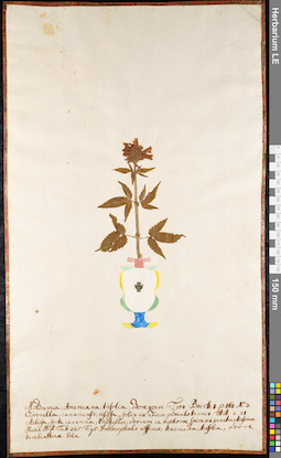 LE 01092240