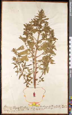 LE 01092242