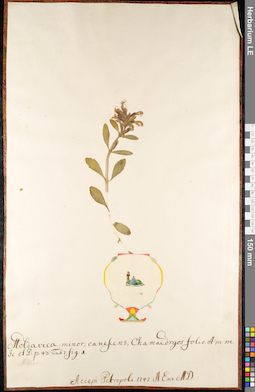 LE 01092243